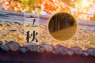 可燃?xì)怏w報(bào)警器應(yīng)避免在以下環(huán)境進(jìn)行使用